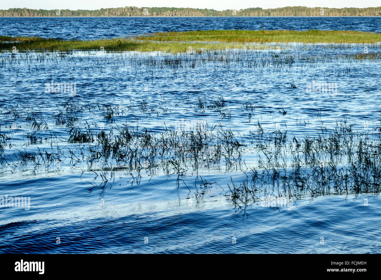 Florida, Süd, Clermont, Lake Louisa State Park, Natur, Naturlandschaft, Besucher reisen Reise touristischer Tourismus Wahrzeichen Kultur cultura Stockfoto