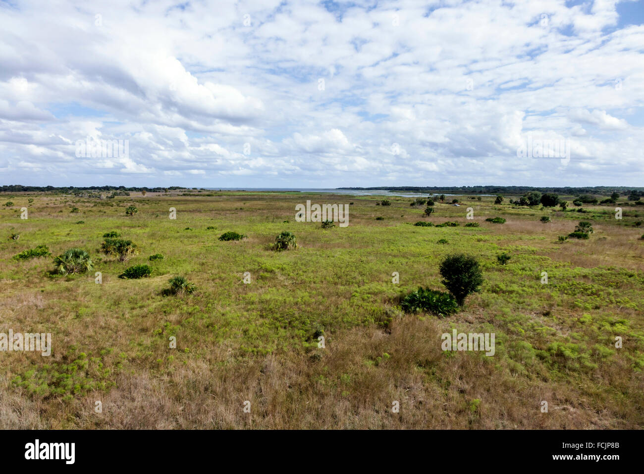 Florida, Süd, Lake Wales, Lake Kissimmee State Park, Natur, Naturlandschaft, Besucher reisen Reise touristischer Tourismus Wahrzeichen Kultur Cu Stockfoto