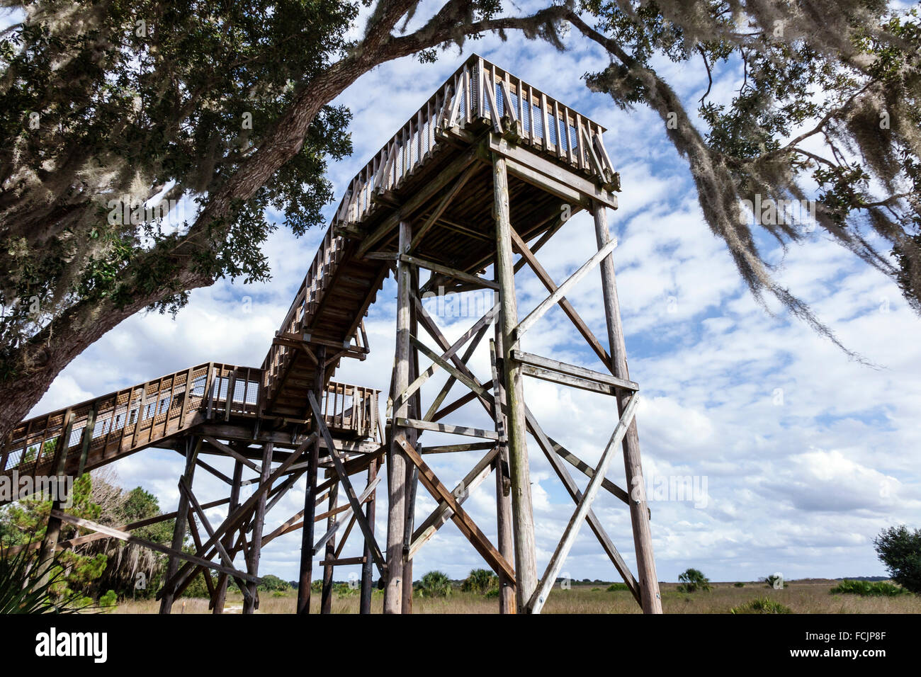 Florida, Süd, Lake Wales, Lake Kissimmee State Park, Natur, natürliche Landschaft, Observatorium, spanisches Moos, Besucher reisen Reise touristisches Tourismusland Stockfoto