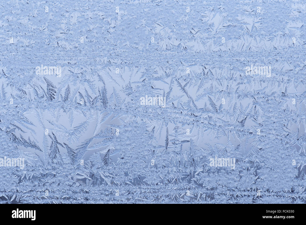 Nahaufnahme von Frost am Fenster Stockfoto