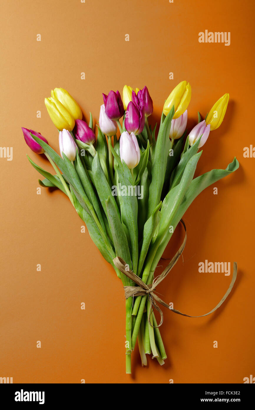 Tulpen Blumen auf orange Oberfläche, Frühling Stockfoto