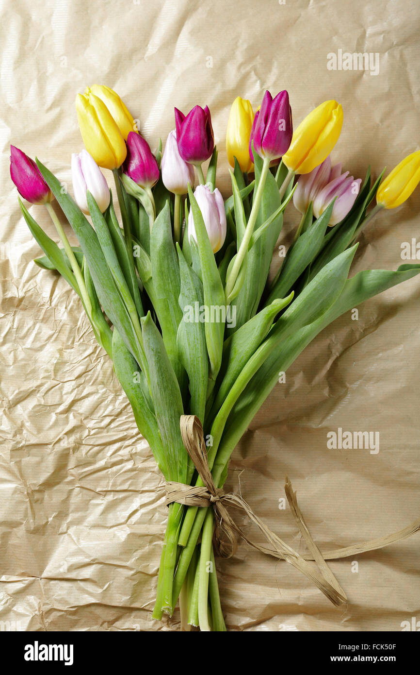 Frühlingssträuße Tulpe, Blumen Stockfoto