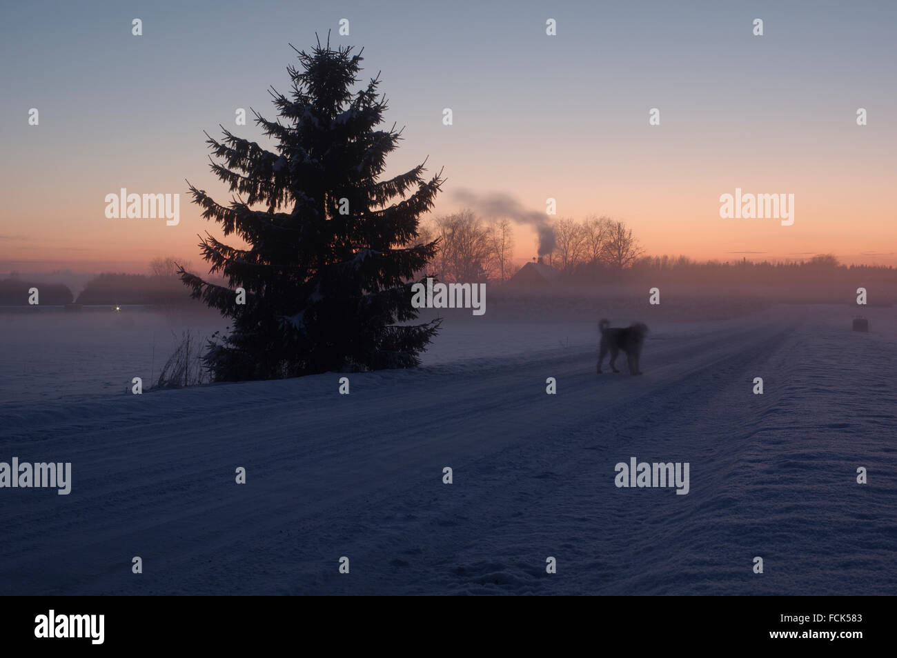 Eine kalte Nacht im Winter Dorfstraße. In der Nähe von Tartu, Estland EU 23. Januar 2016 Stockfoto