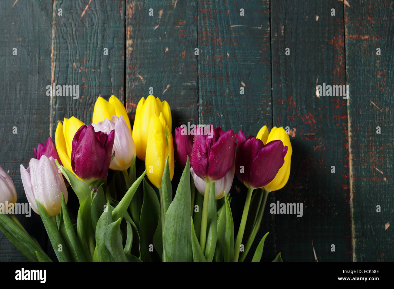 Bouquet von frischen Tulpen auf alten Boards, Blumen Stockfoto