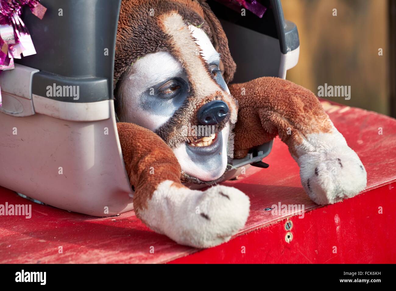 Mann im Hund verkleiden, Karneval in Venedig, Venedig, Italien Stockfoto