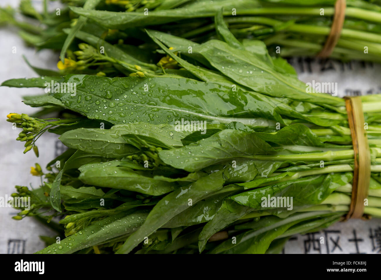 Grünes Blattgemüse in einem Markt in Yangshuo, China. Stockfoto