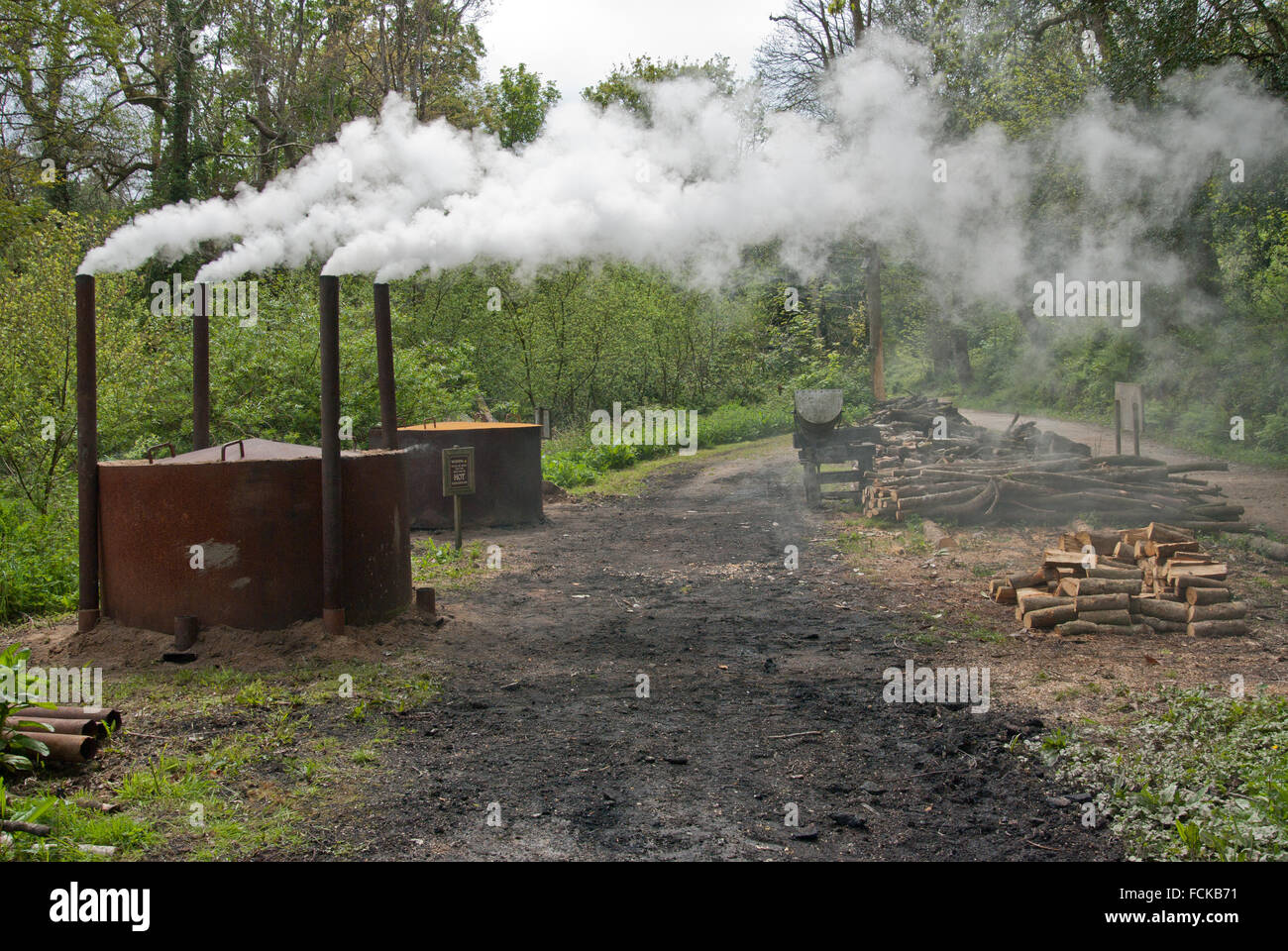 Die Lost Gardens of Heligan Stockfoto