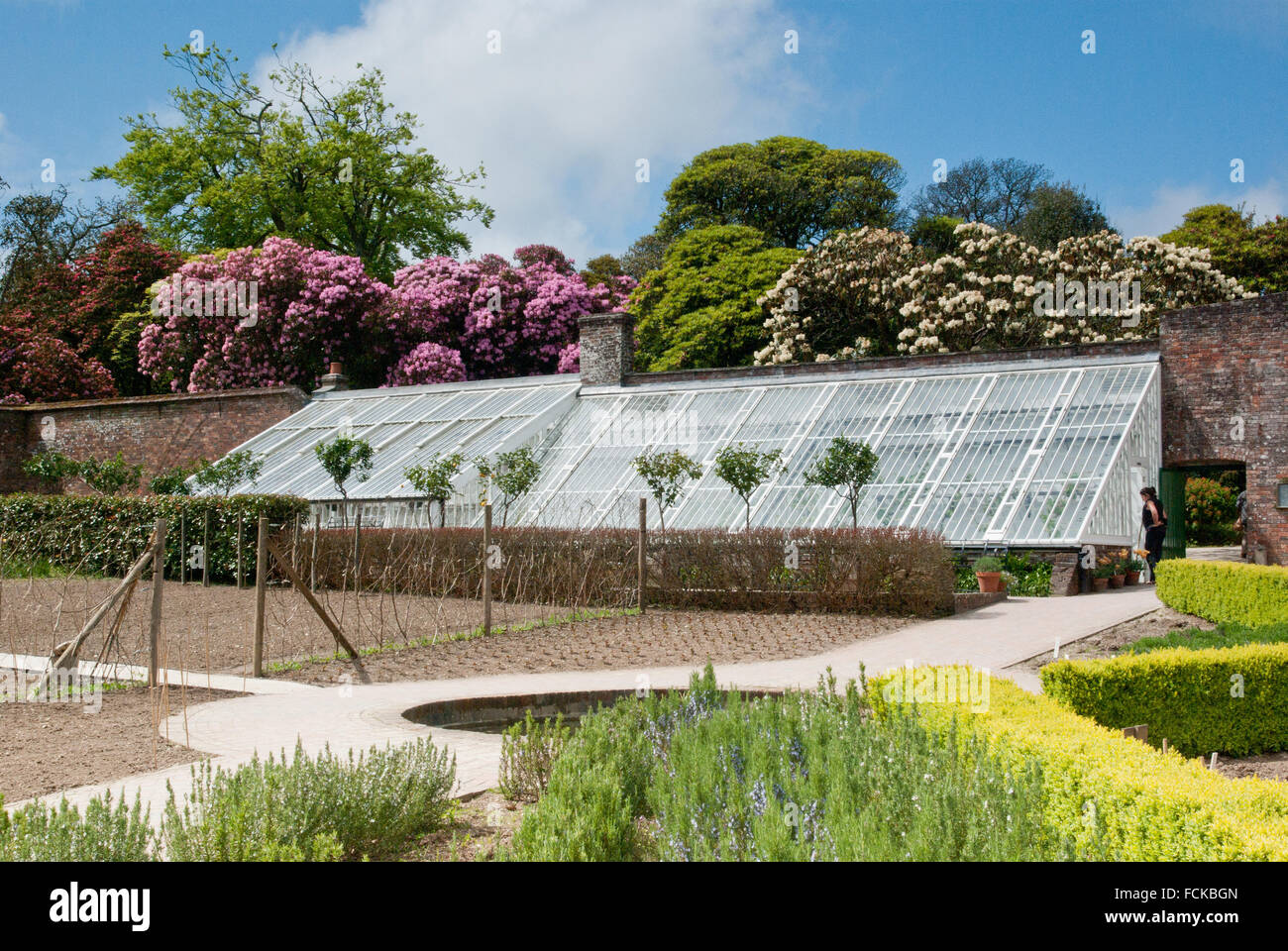 Die Lost Gardens of Heligan Stockfoto