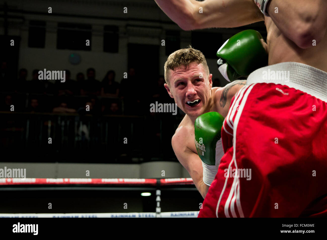 London, UK, 22. Januar 2016. Eine Nacht der Championship Boxing Hall in York, England. DP Carr Niederlagen Aleksandrs Birkenbergs in der internationalen Super-Federgewicht-Wettbewerb. Copyright Carol Moir/Alamy Live News Stockfoto