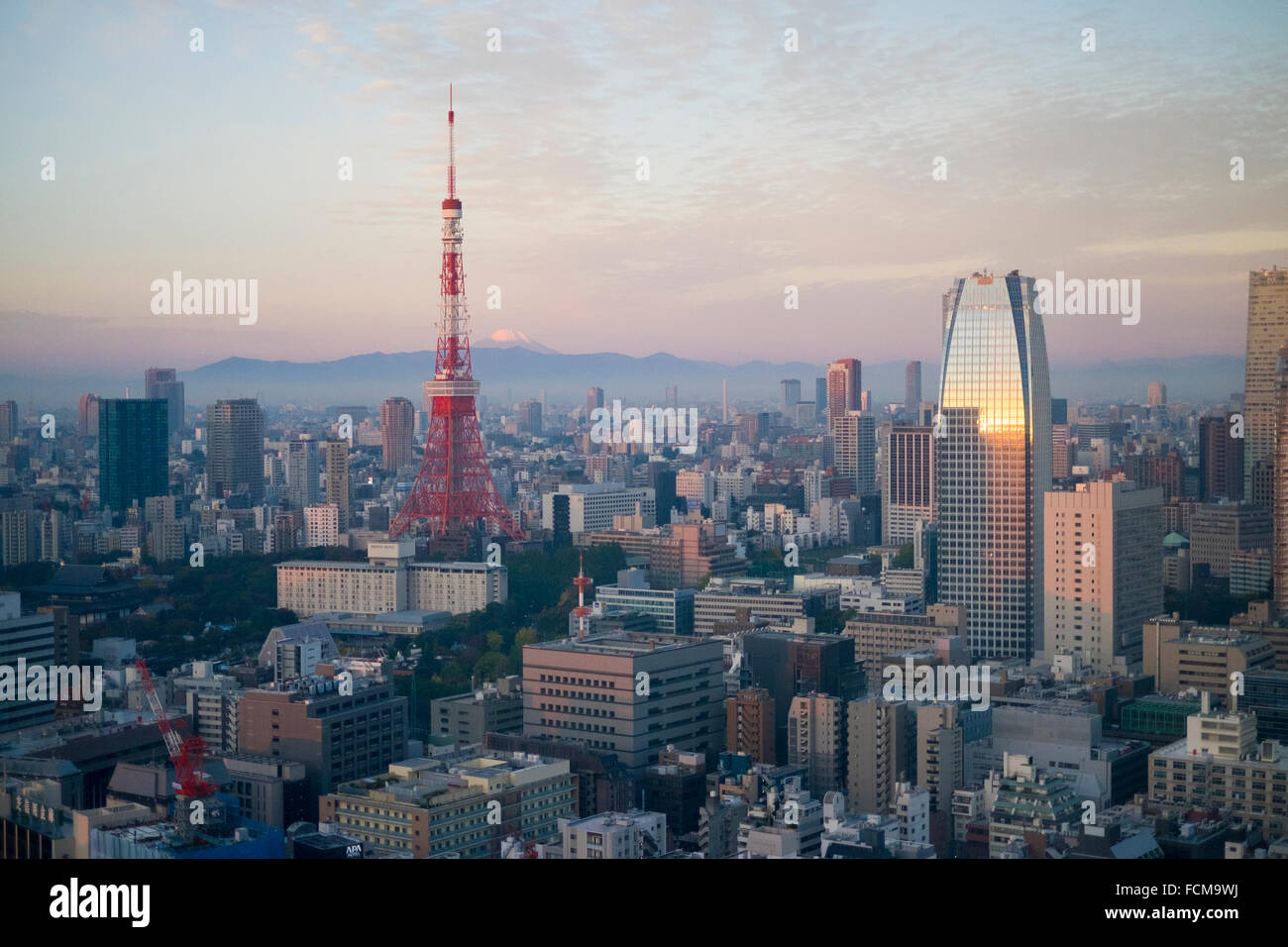 Blick auf den Tokyo Tower und Mount Fuji bei Sonnenaufgang, Tokio Stockfoto
