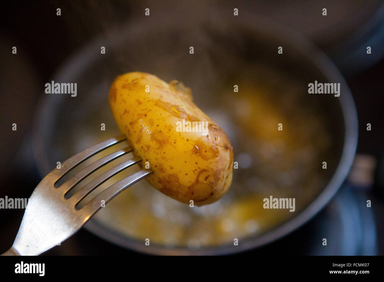 Eine gekochtes Baby neue Kartoffel dampft auf einer Gabel über einen Topf mit Wasser. Stockfoto