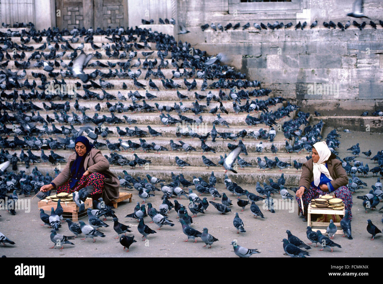 Verkauf von Vogelfutter, Bird Seed Verkäufer oder Straßenhändler und Herde von Tauben in den Straßen von Istanbul Türkei Türkin Stockfoto Verkauf von Vogelfutter, Bird Seed Verkäufer oder Straßenhändler und Herde von Tauben in den Straßen von Istanbul Türkei Türkin Stockfoto
