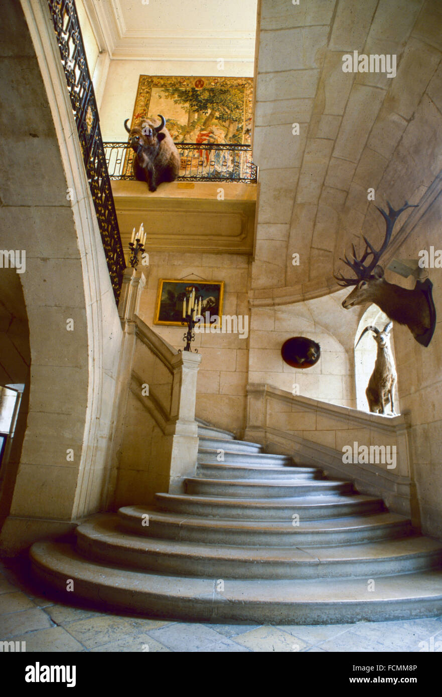 Paris, Frankreich, innen alte Treppe im Jagdmuseum Stockfoto