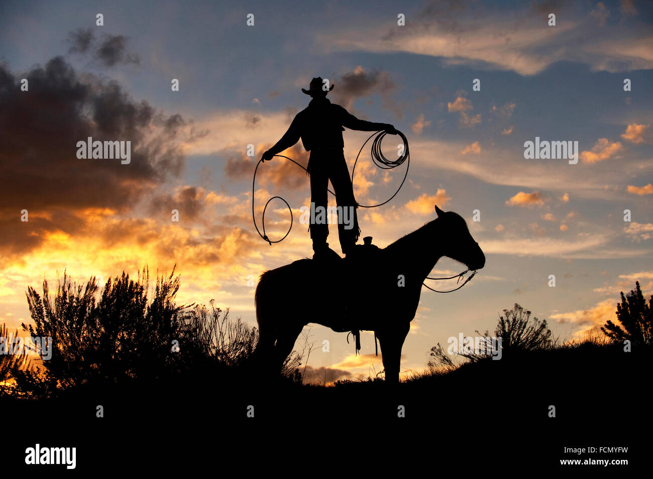 Cowboy auf Pferd mit Seil stehend bei Sonnenuntergang Stockfoto