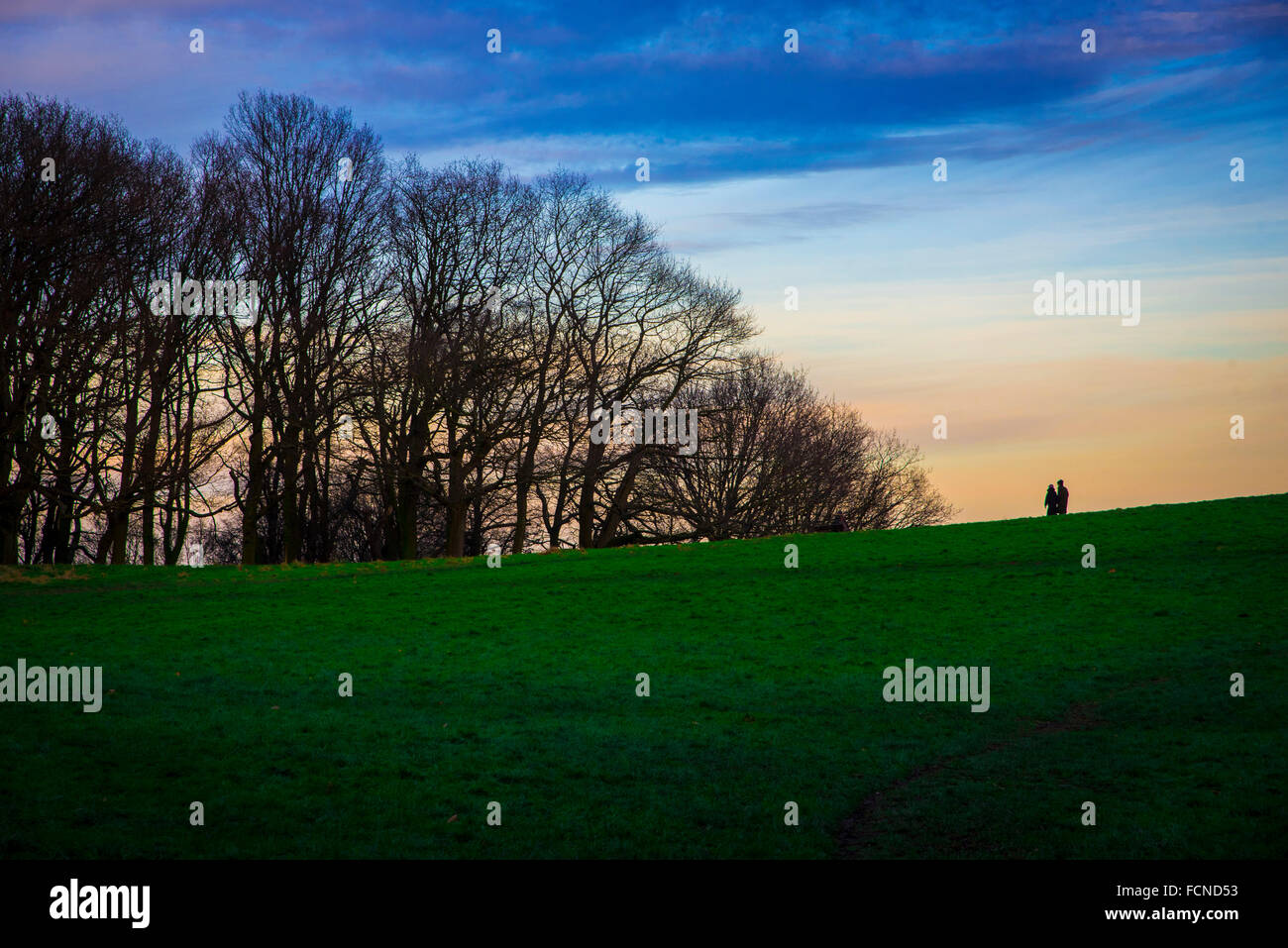 Allgemeine Ansichten in der Abenddämmerung auf Hampstead Heath in London Stockfoto