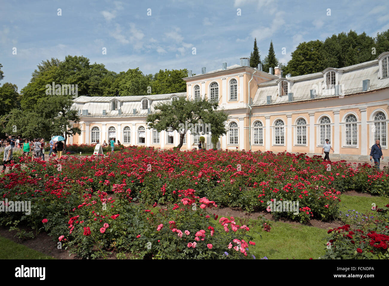 Die große Orangerie, unteren Park auf dem Gelände des Peterhof Palast, Petergof, St. Petersburg, Northwestern, Russland. Stockfoto