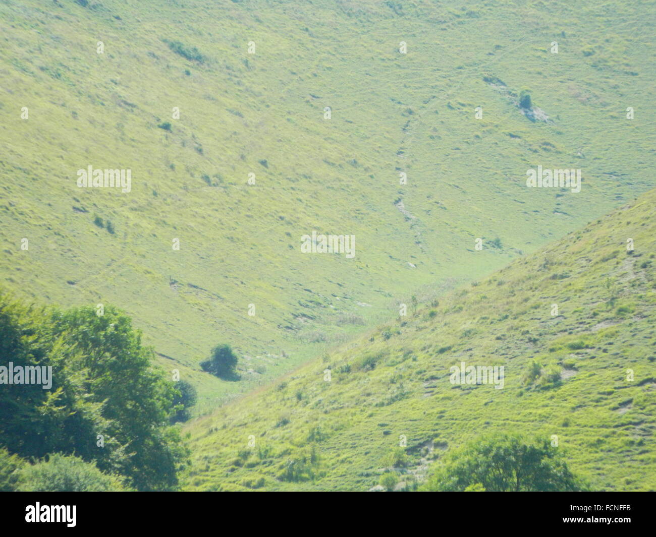 hellen sonnigen Sommertag Stockfoto