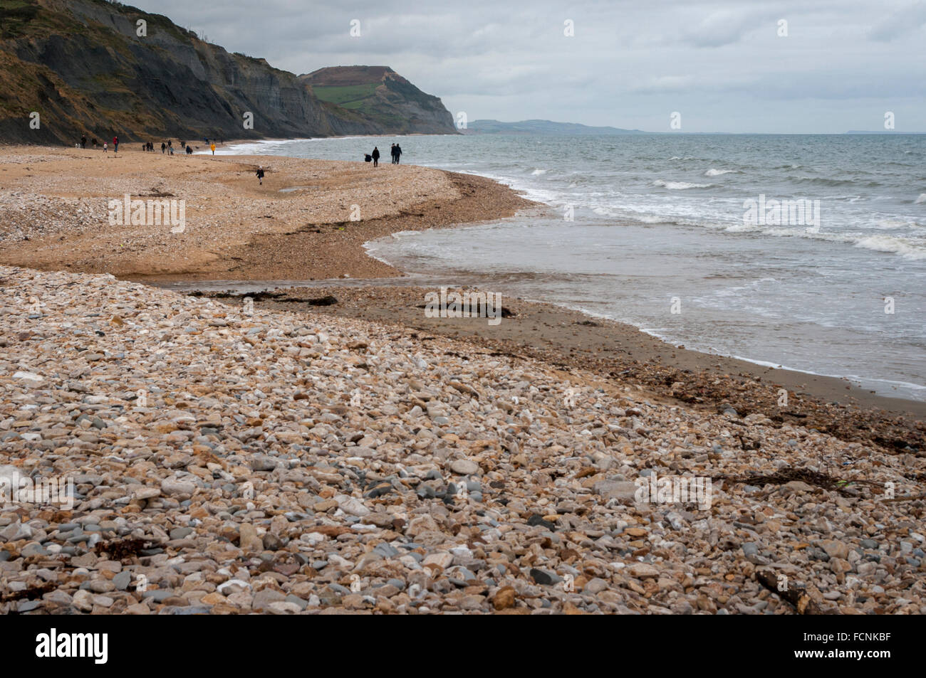 Charmouth Strand auf Großbritanniens Jurassic Coast. Schindel im Vordergrund, Meer und Klippen hinaus. Fossilen Jagd in der Ferne. Stockfoto