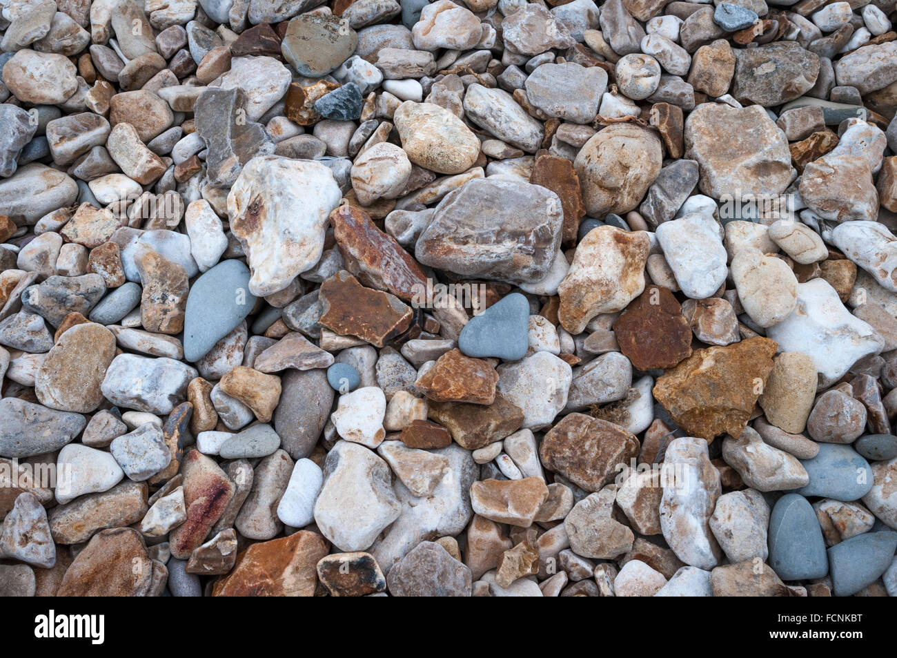 Fossil-Lager Kieselsteine am Strand von Charmouth auf Großbritanniens Jurassic Coast. HDR. Hintergrund oder Wallpaper Bild. Stockfoto
