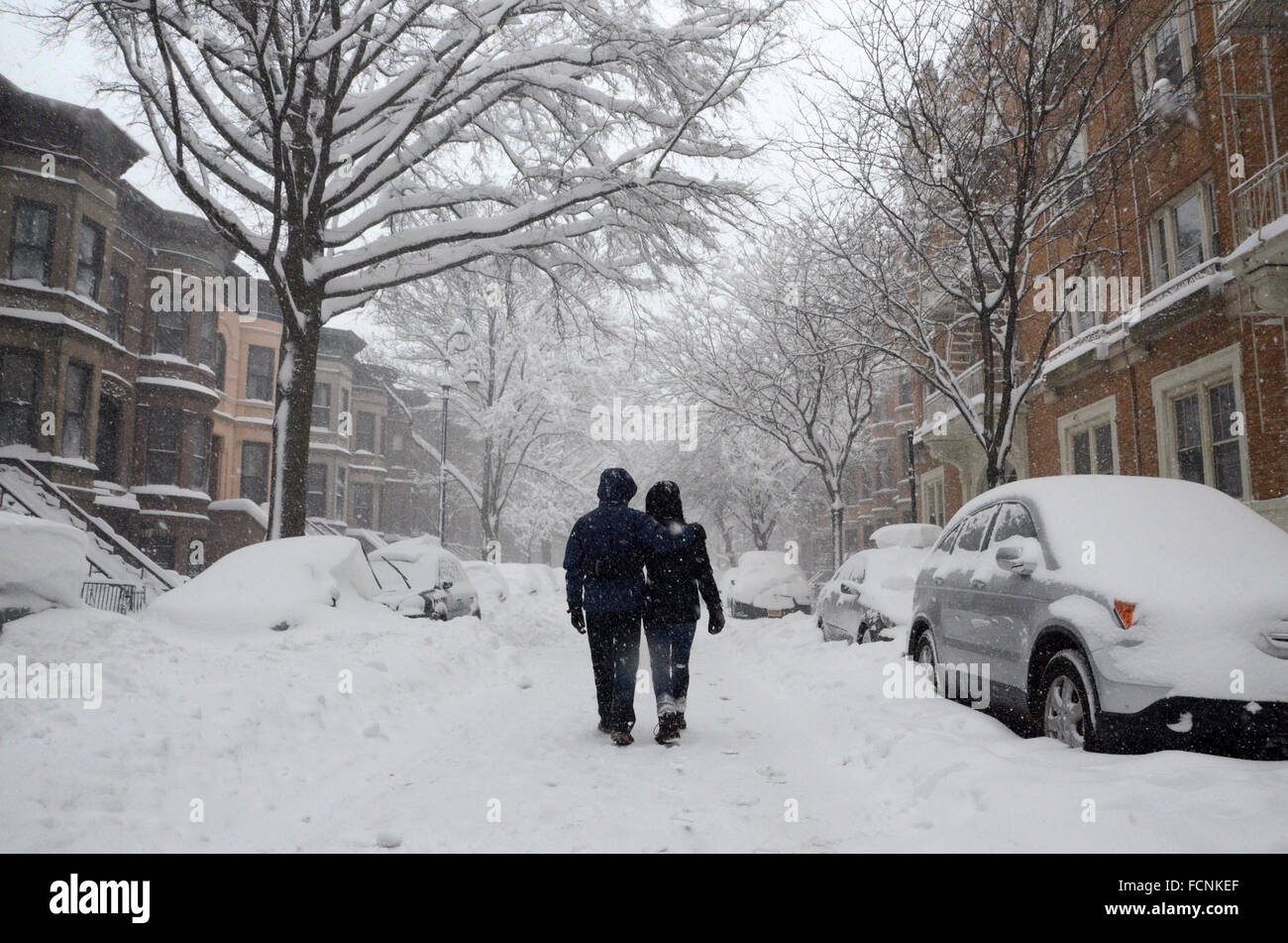 New York, USA. 23. Januar 2016. Jonas Schnee Sturm New York Brooklyn 2016 Credit: Simon Leigh/Alamy Live News Stockfoto