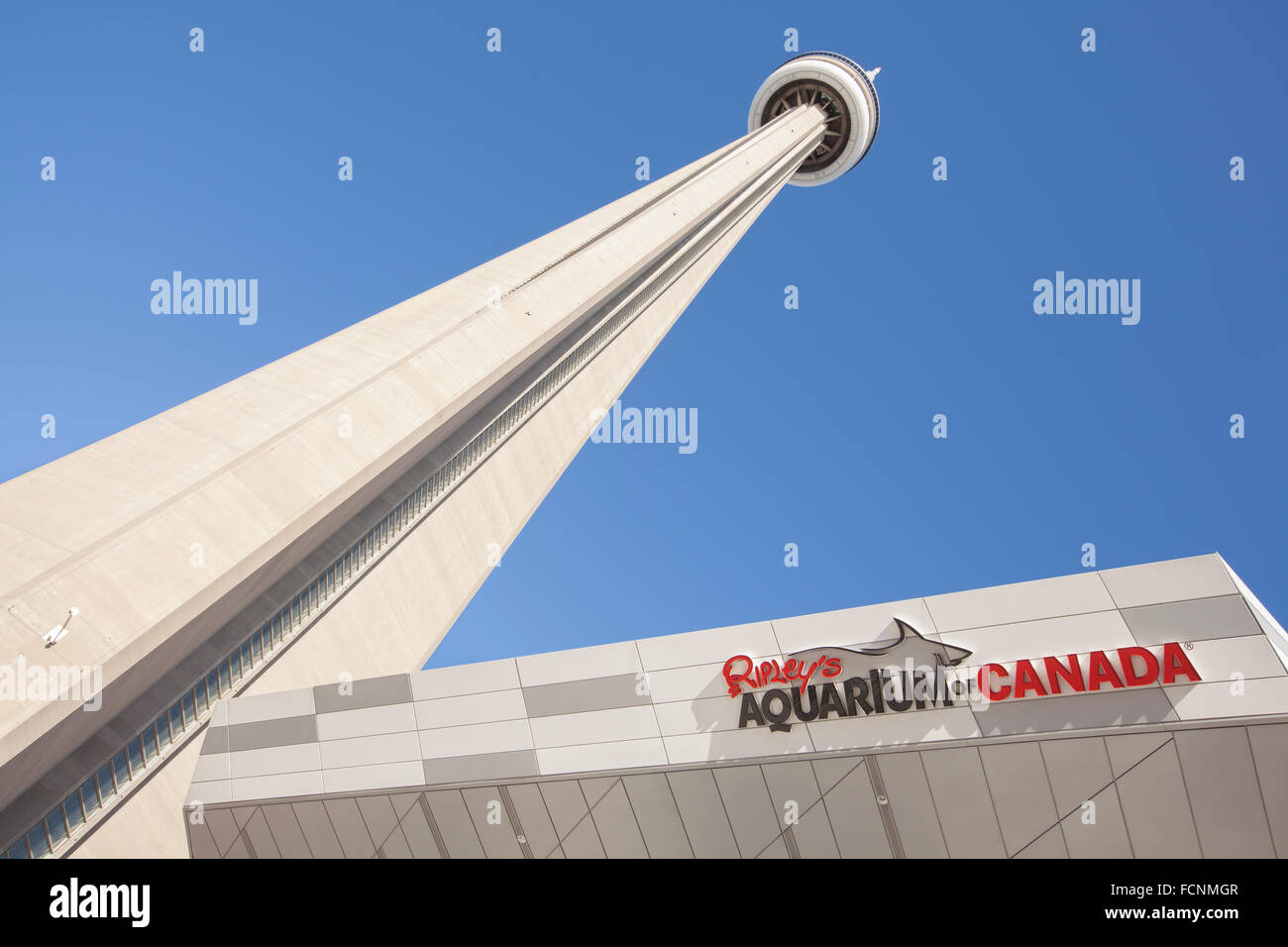 CN Tower und Ripleys Aquarium in Toronto Stockfoto