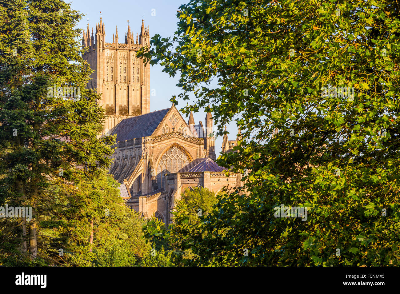 Wells Cathedral, Somerset, England, Vereinigtes Königreich, Europa. Stockfoto