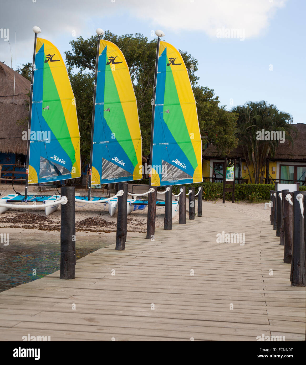 Hobie Katamarane am Strand Stockfoto