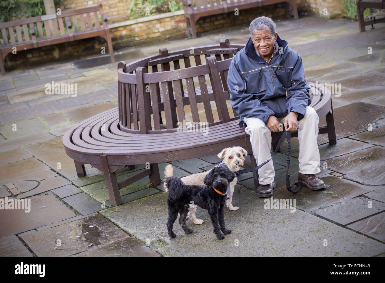 Alter Mann sitzen auf Bank mit seinen Hunden Stockfoto