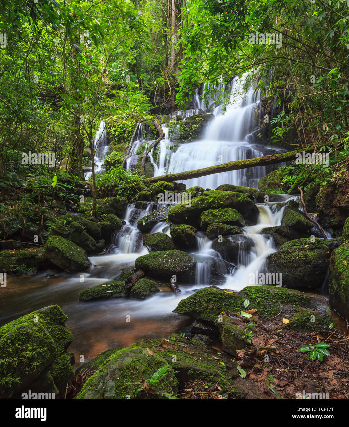 tropischer Wasserfall im tiefen Wald Stockfoto