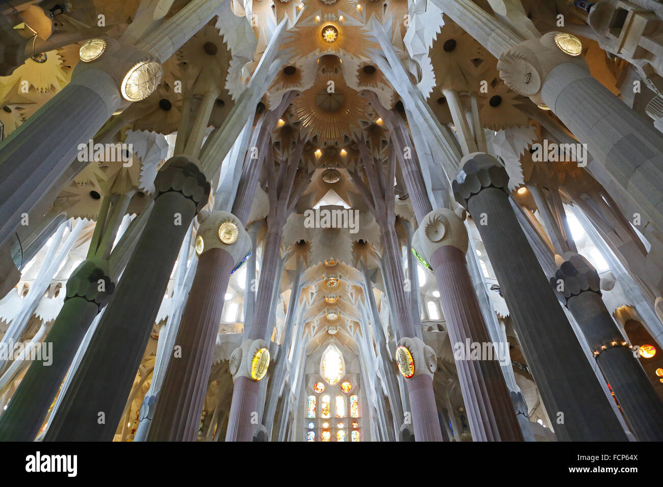Decke der Basilika Sagrada Familia, Barcelona, Spanien. Stockfoto