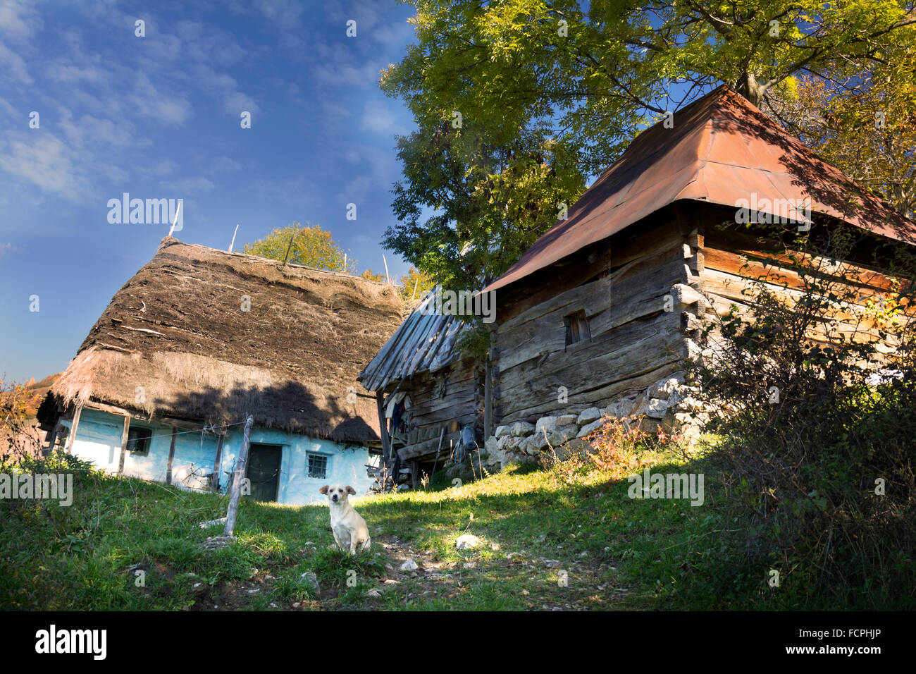 Urige Hütten in den Karpaten, Rumänien mit einem kleinen Hund im Vordergrund Stockfoto