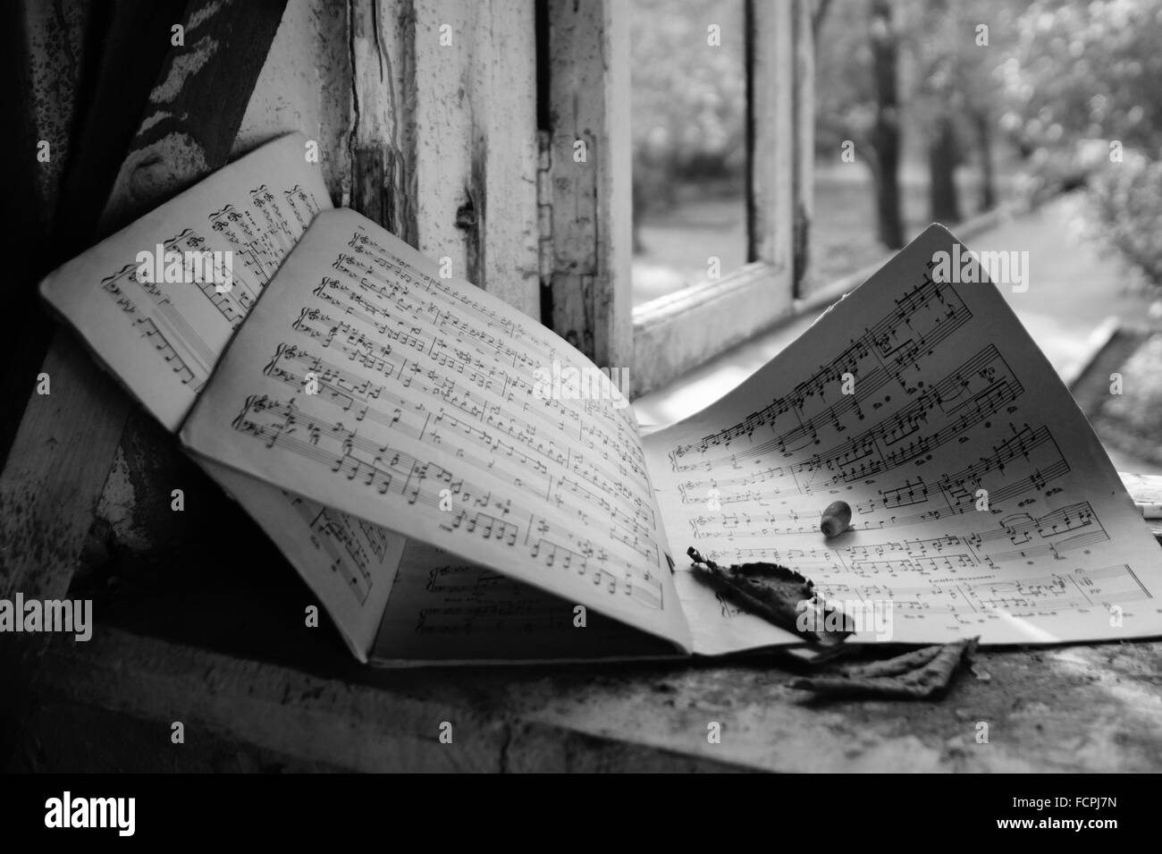 alte Musik-Noten auf dem Fenster Stockfoto