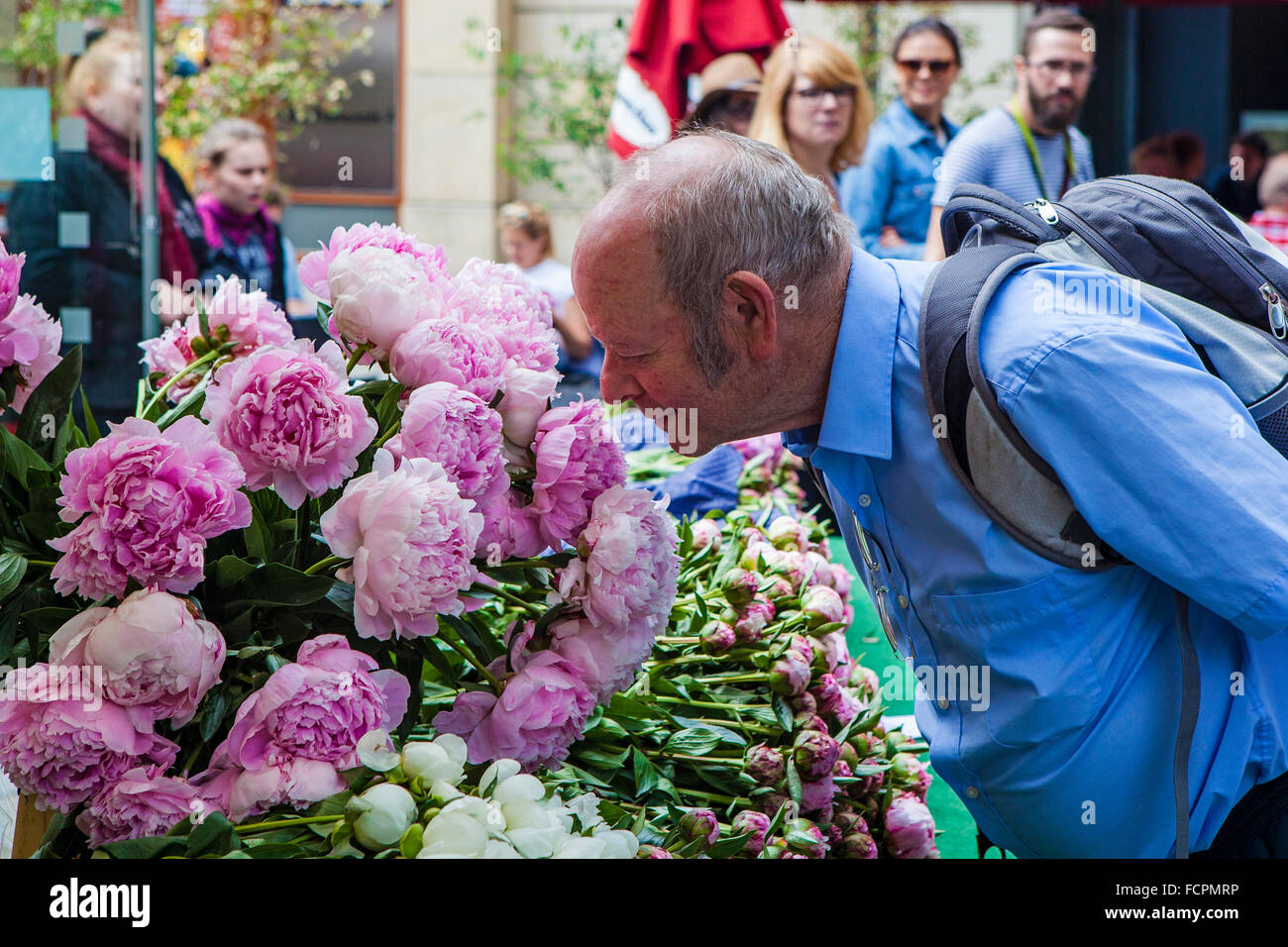 Älterer Mann riechen Pfingstrose Blumen auf dem städtischen Markt Hackescher Markt, Berlin Stockfoto