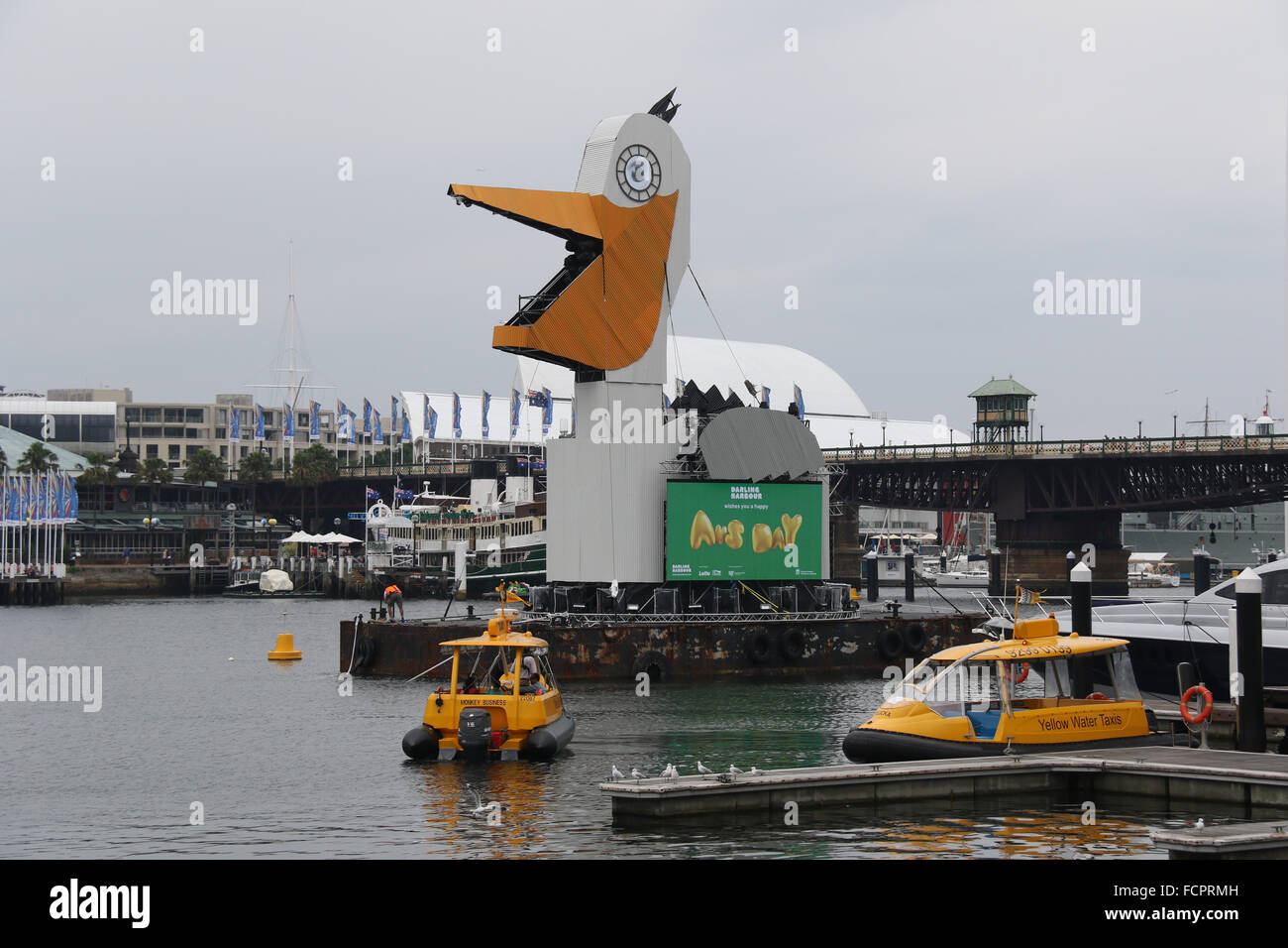 Vor der Australia Day Feierlichkeiten in Darling Harbour, ist was scheint, eine Art von riesigen weißen Vogel erschienen. Stockfoto