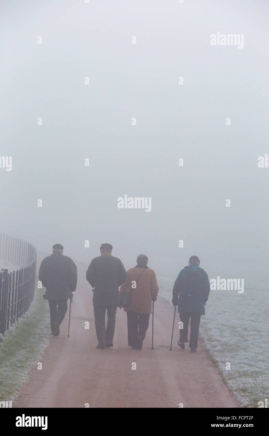 Ältere Menschen auf einem nebeligen Winter gehen, England, UK Stockfoto