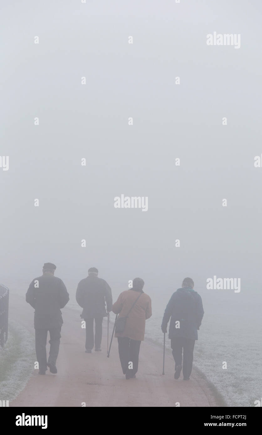 Ältere Menschen auf einem nebeligen Winter gehen, England, UK Stockfoto