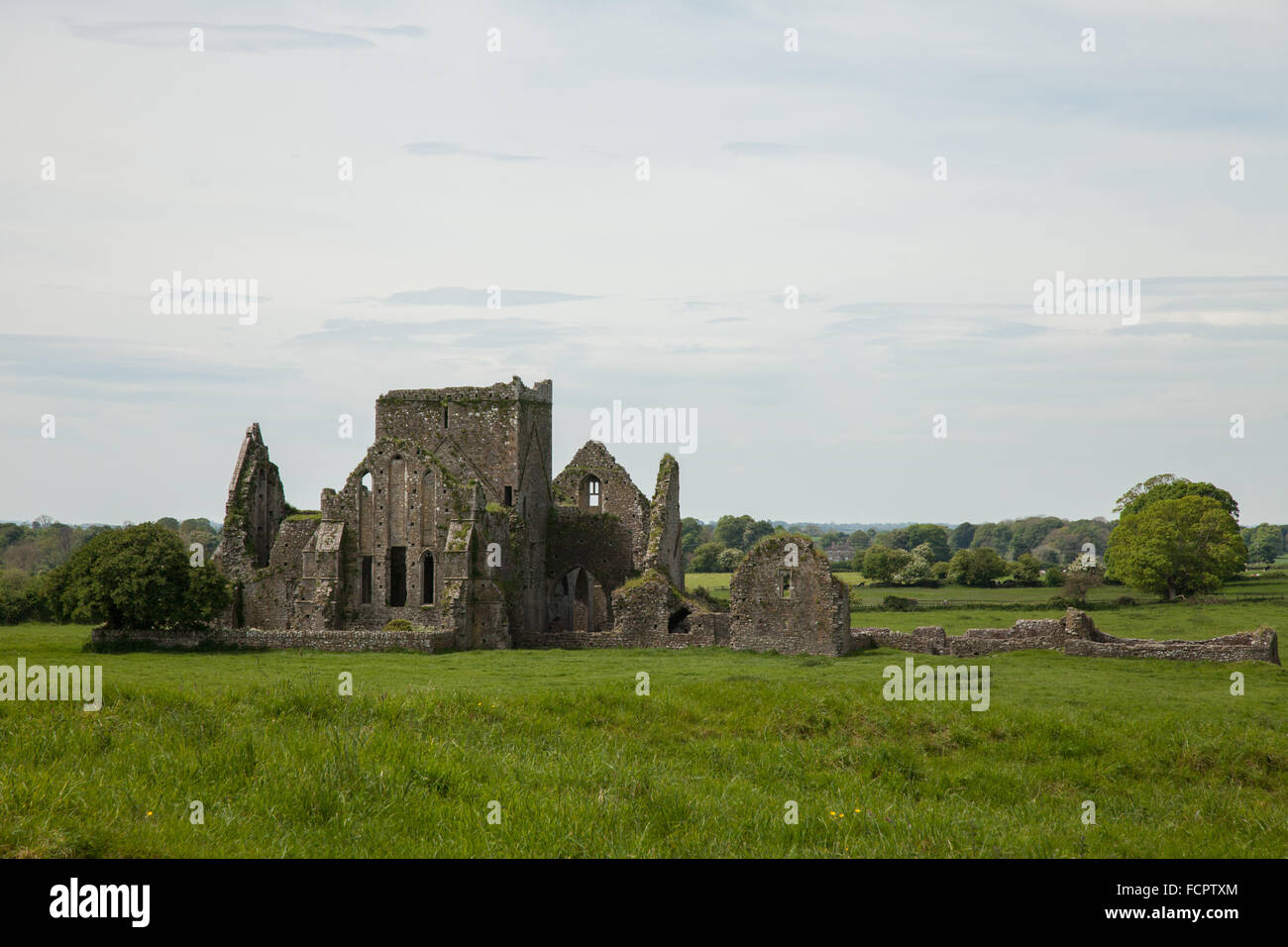 Abtei von Hore, Irland Stockfoto