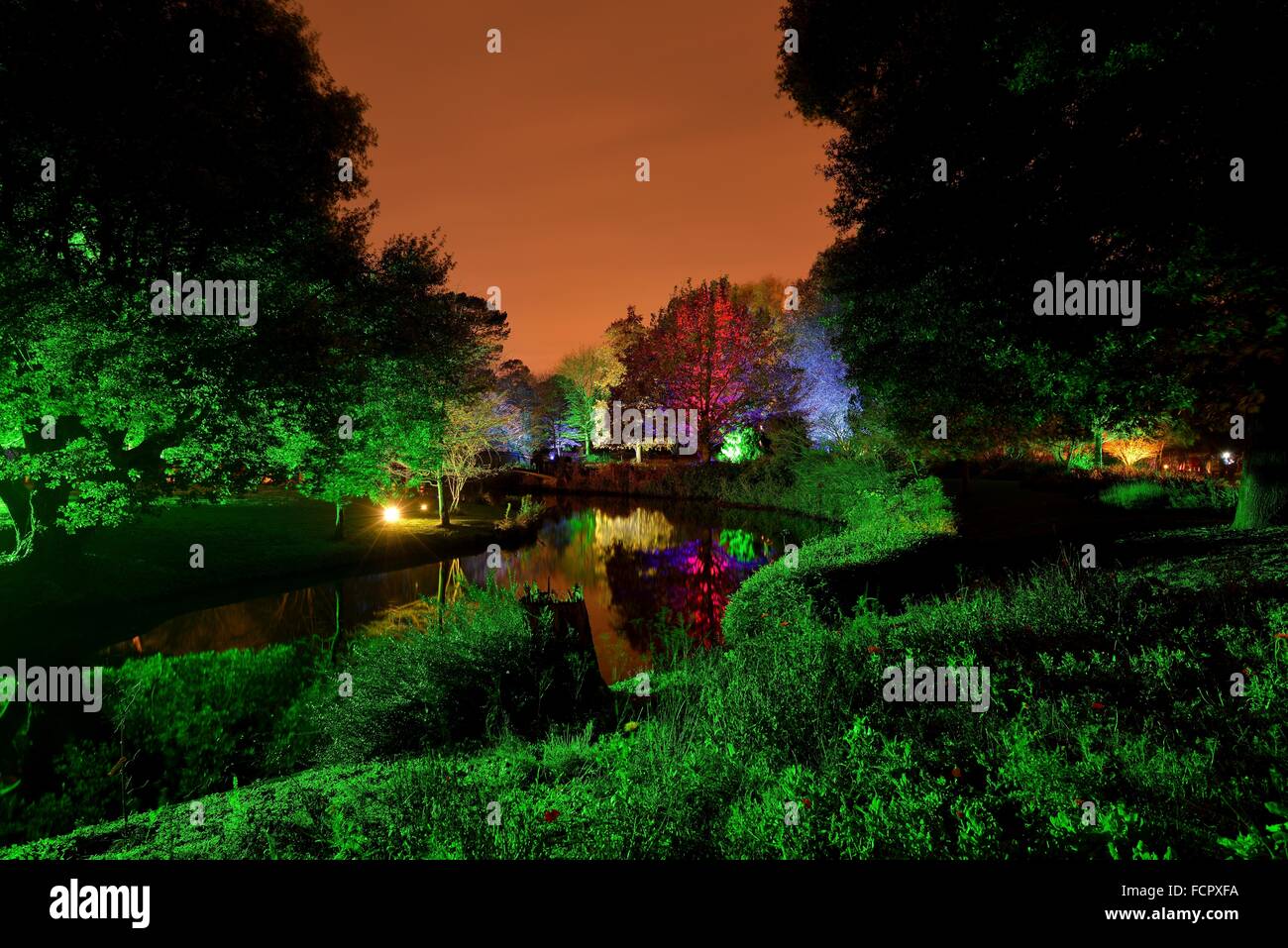 Verzauberter Wald im Syon Park, London Stockfoto