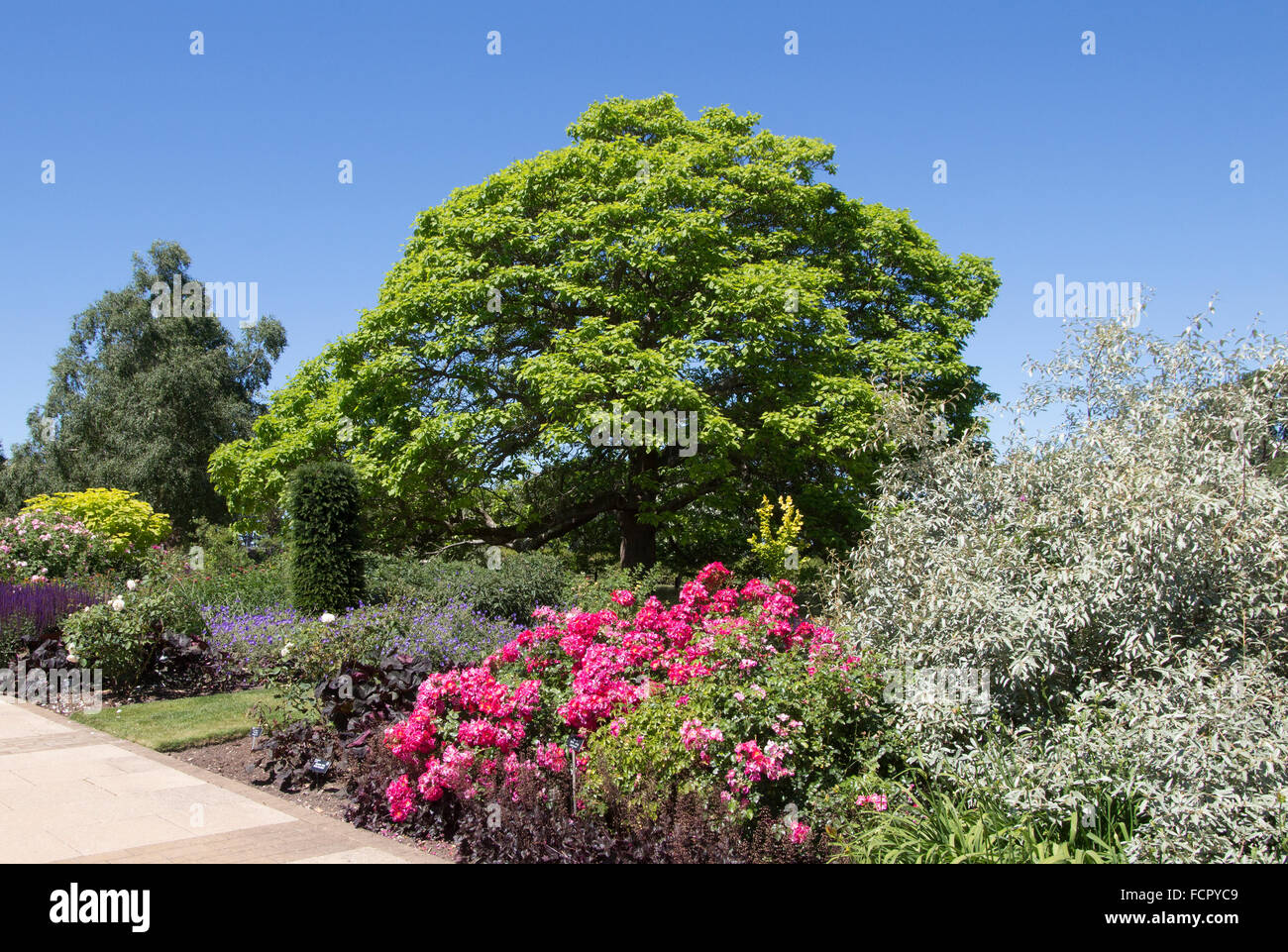 RHS Wisley Garden, Surrey Stockfoto