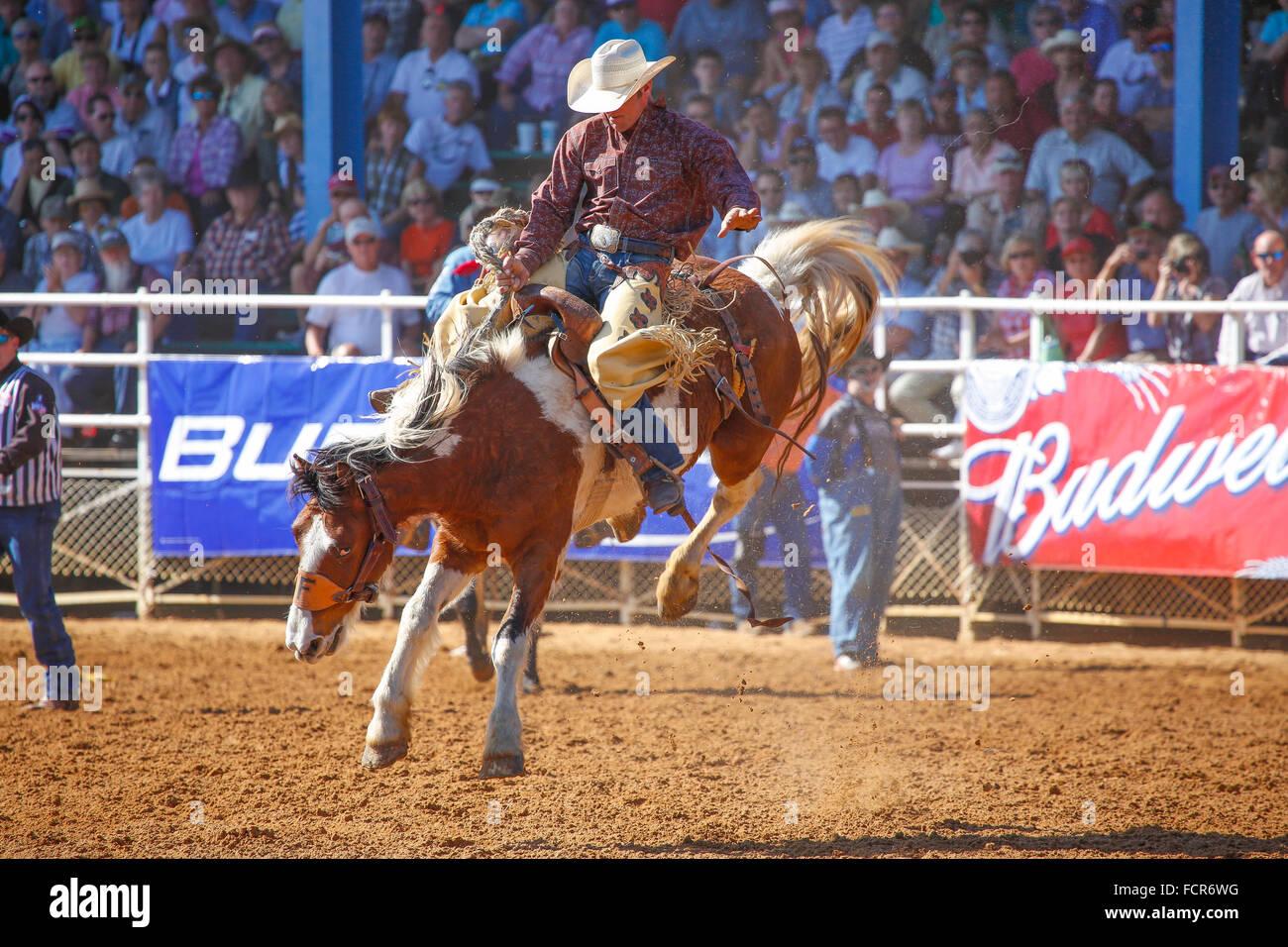 Arcadia AllFlorida Championship P.R.C.A. Rodeo statt in den Südwesten Florida Arcadia
