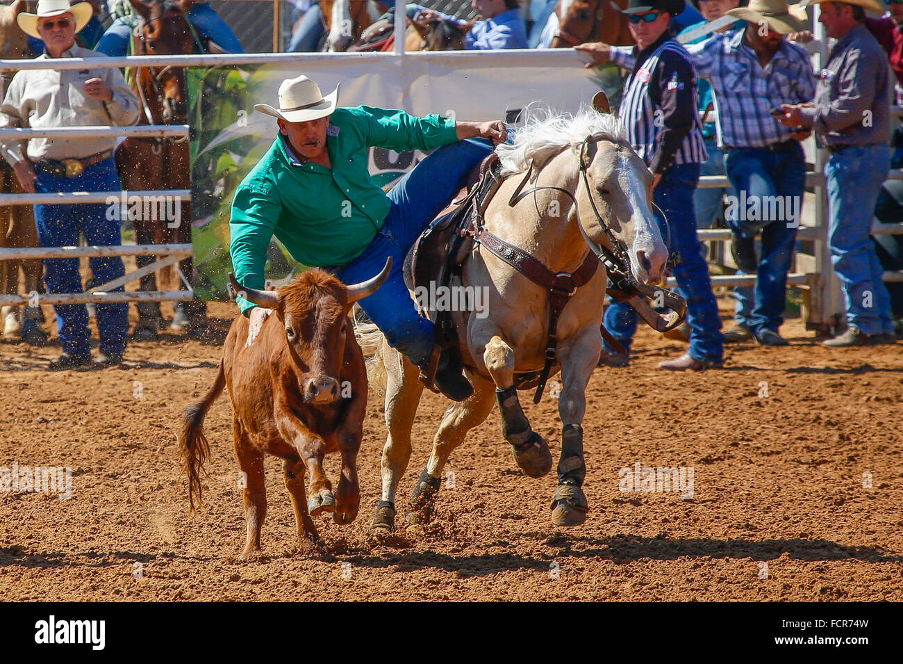 Arcadia All-Florida Championship P.R.C.A. Rodeo statt in den Südwesten Florida Arcadia Stockfoto