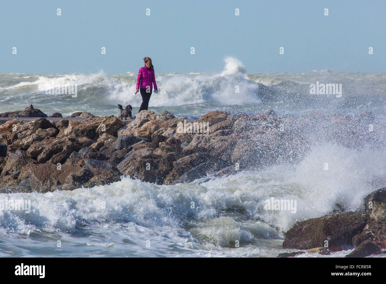 Frau zu Fuß Hund mit Golf von Mexiko Sturmwellen am südlichen Steg in Venice Florida Stockfoto