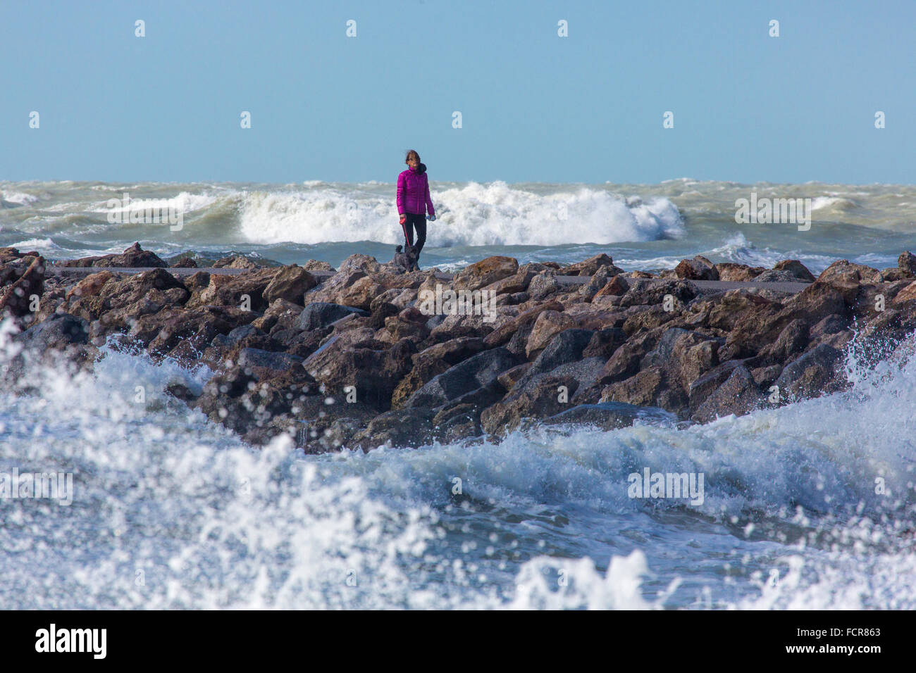 Frau zu Fuß Hund mit Golf von Mexiko Sturmwellen am südlichen Steg in Venice Florida Stockfoto