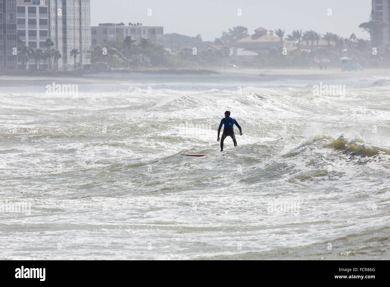 Einsamer Surfer im rauen Wasserwellen aus Venice Beach in den Golf von Mexiko in Venice Florida Stockfoto