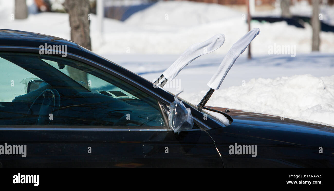 New York, USA. 24. Januar 2016. Der Wintersturm Jonas war der zweite starke Sturm in die Geschichte der Stadt. Atbthe Foto: Menschen, die Reinigung des Schnee um seine Autos und Häuser. Bildnachweis: Alex Potemkin/Alamy Live-Nachrichten Stockfoto
