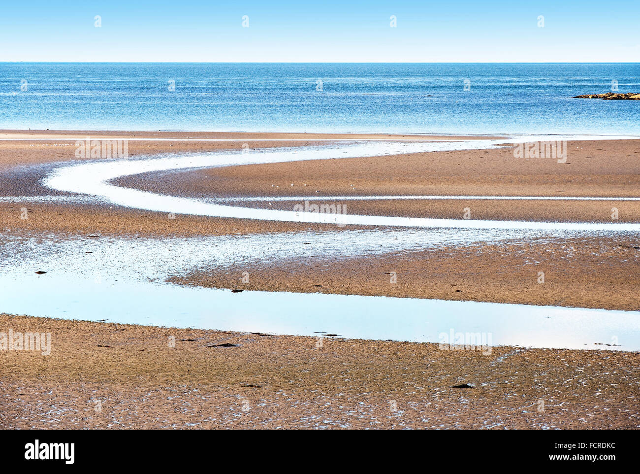 Strand auf Ards-Halbinsel in Nordirland während der Ebbe Stockfoto