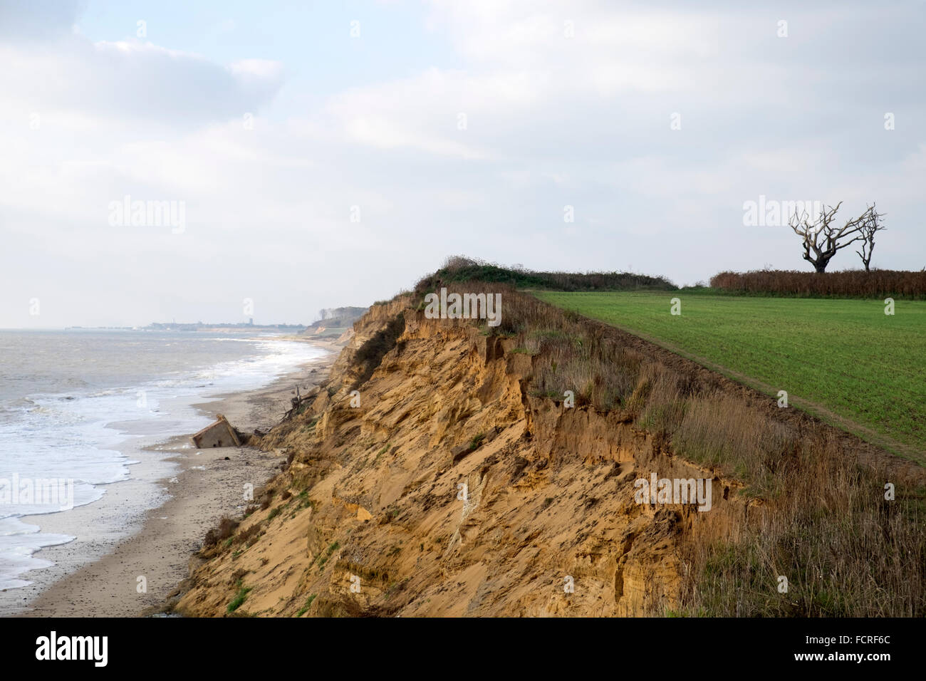 Auswirkungen der Küstenerosion Covehithe Suffolk England Stockfoto