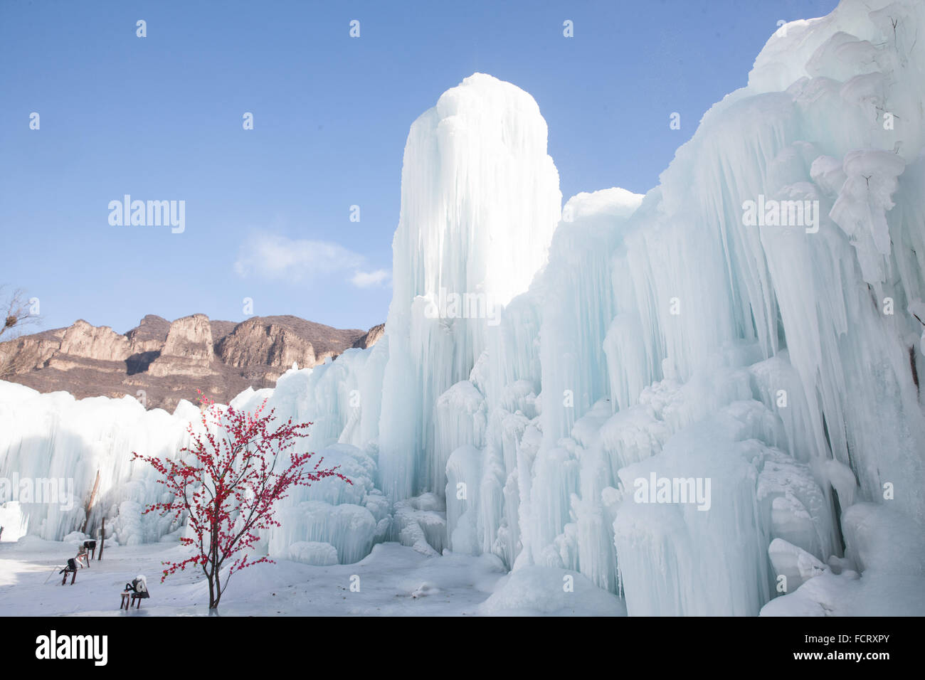 Shijiazhuang. 23. Januar 2016. Foto aufgenommen am 23. Januar 2016 zeigt den gefrorenen Wasserfall in Pingshan County von Shijiazhuang, Hauptstadt der Provinz Hebei North China. Bildnachweis: Pu Dongfeng/Xinhua/Alamy Live-Nachrichten Stockfoto