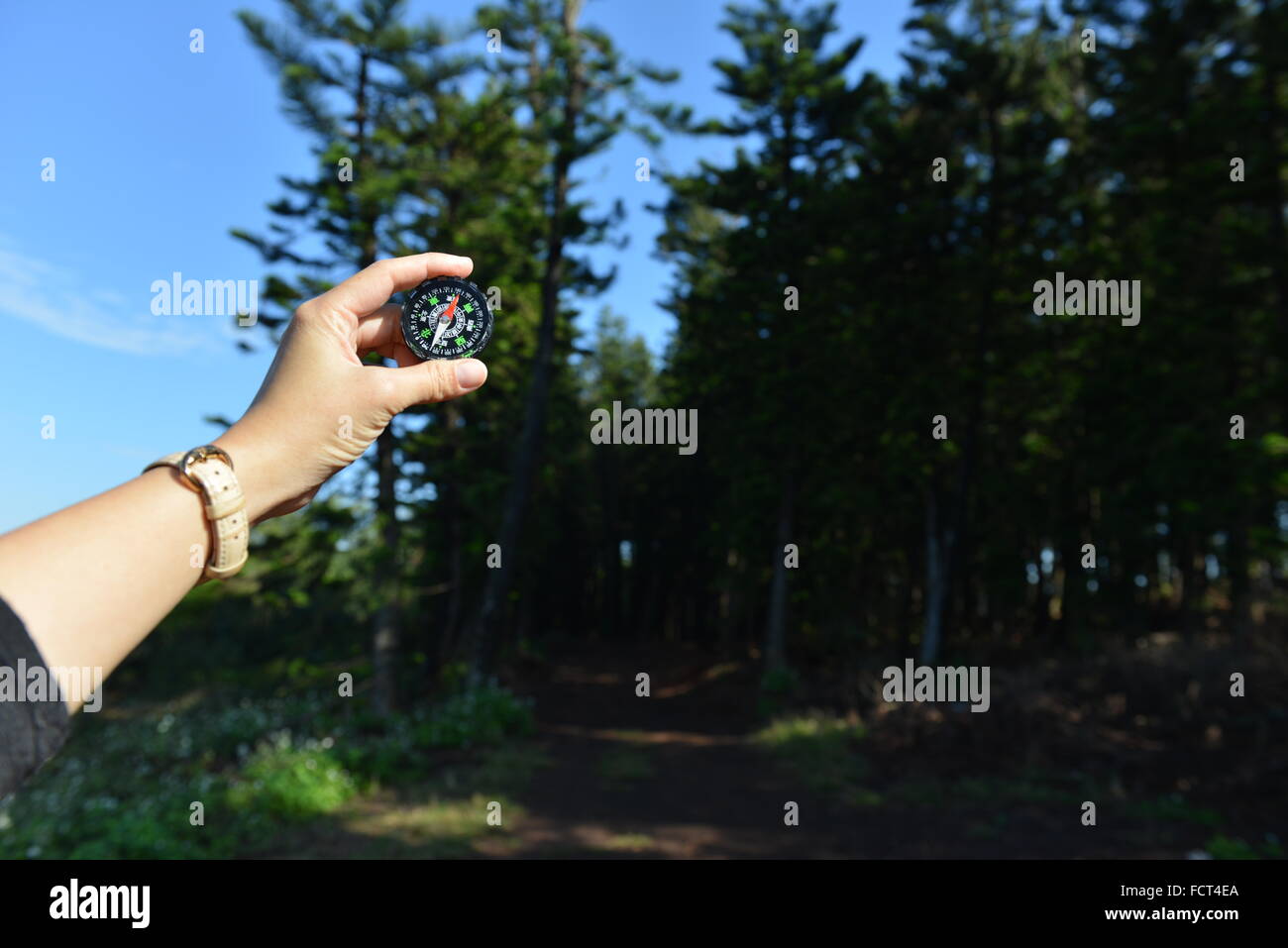 Tun, nicht verloren Stockfoto