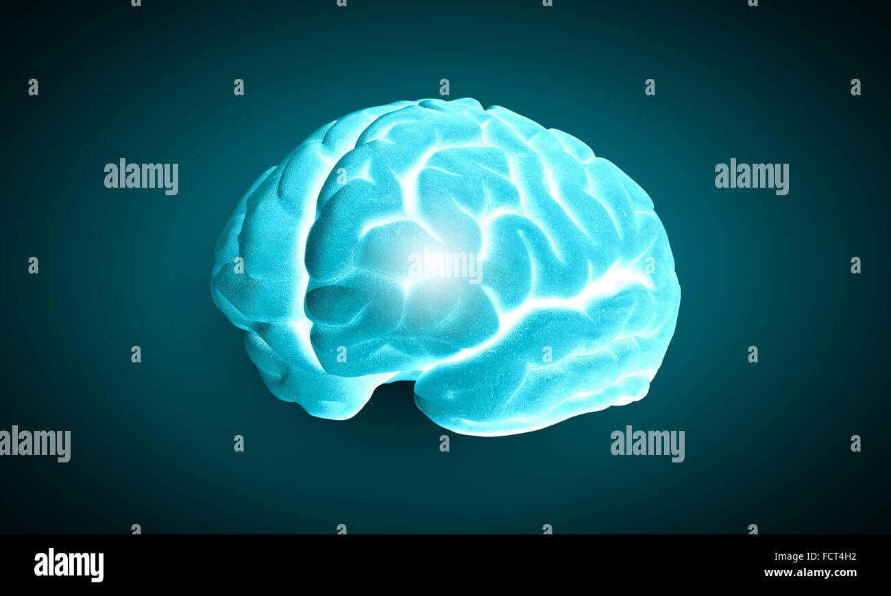 Bild der Wissenschaft mit menschlichen Gehirn auf grünem Hintergrund Stockfoto